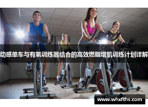 动感单车与有氧训练器结合的高效燃脂增肌训练计划详解