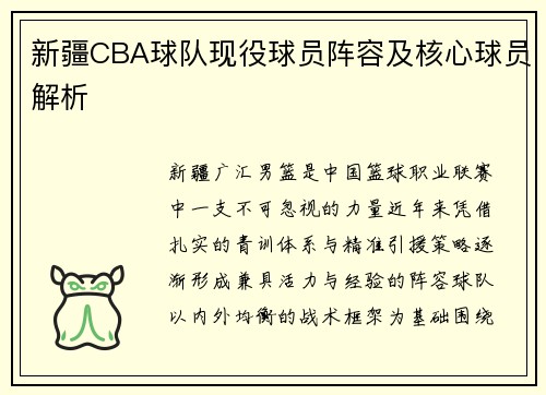 新疆CBA球队现役球员阵容及核心球员解析
