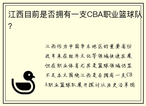 江西目前是否拥有一支CBA职业篮球队？