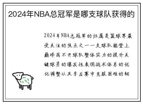 2024年NBA总冠军是哪支球队获得的